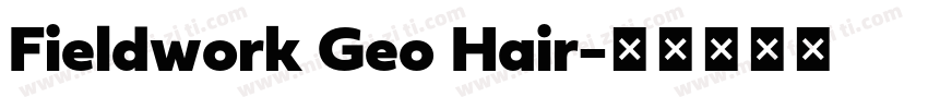 Fieldwork Geo Hair字体转换